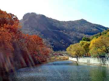 澳门二四六天天彩图库，靓颜花草